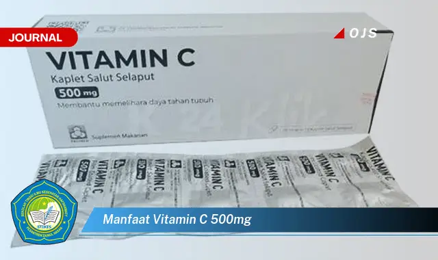 manfaat vitamin c 500mg