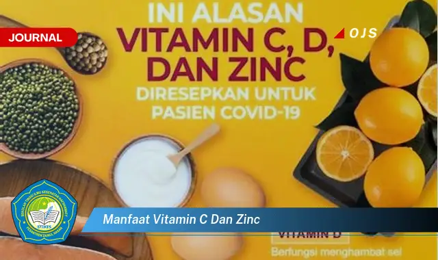 manfaat vitamin c dan zinc