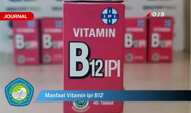 manfaat vitamin ipi b12