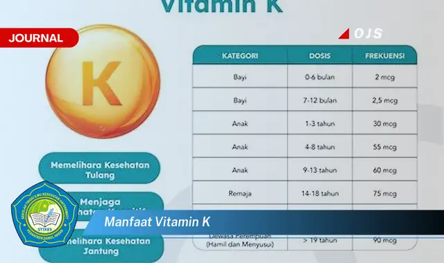 manfaat vitamin k