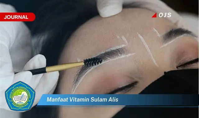 manfaat vitamin sulam alis