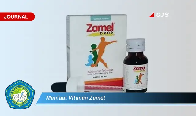 manfaat vitamin zamel