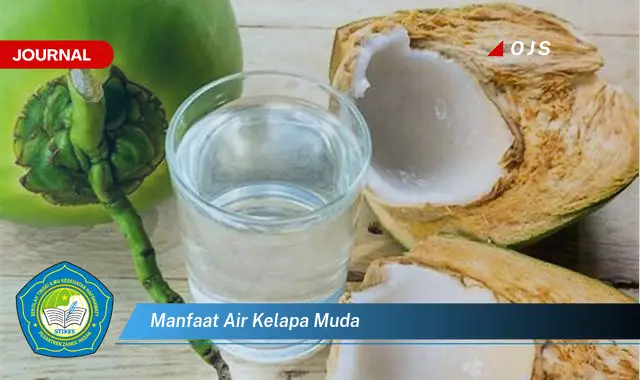 manfaat air kelapa muda