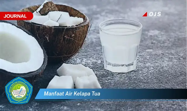 manfaat air kelapa tua