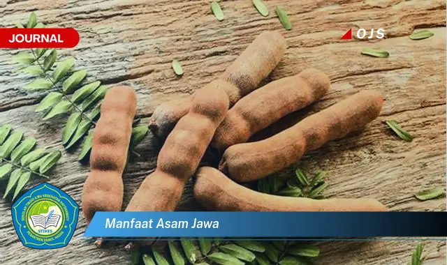 manfaat asam jawa