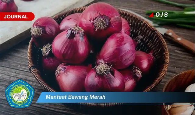 manfaat bawang merah