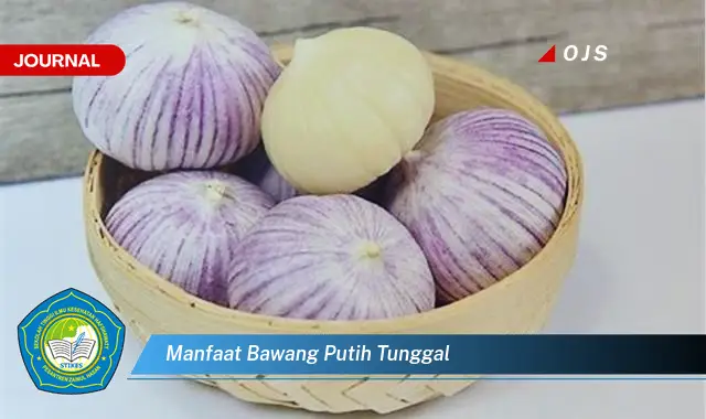 manfaat bawang putih tunggal