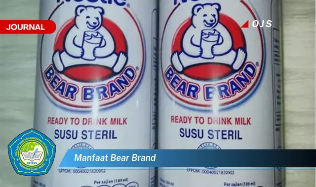 manfaat bear brand