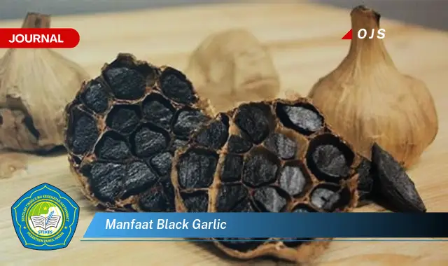 manfaat black garlic