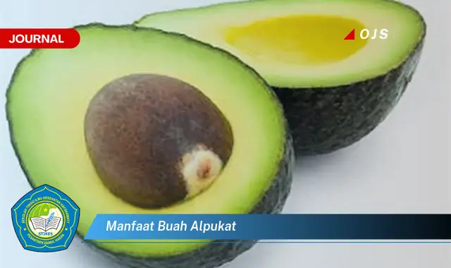 manfaat buah alpukat