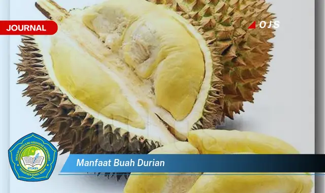 manfaat buah durian