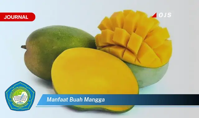 manfaat buah mangga