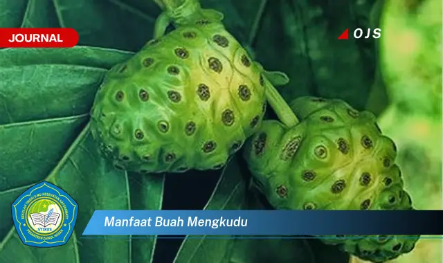 manfaat buah mengkudu