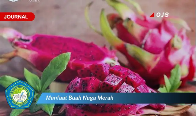 manfaat buah naga merah