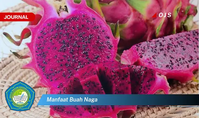 manfaat buah naga