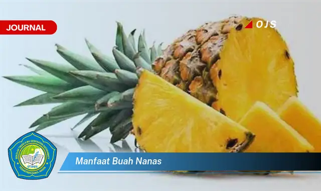 manfaat buah nanas