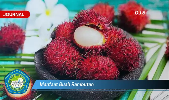 manfaat buah rambutan