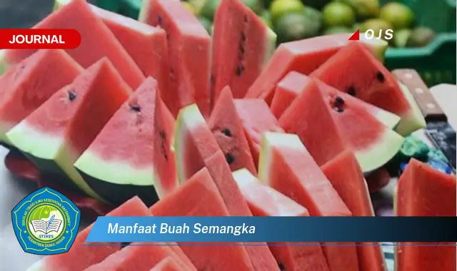 manfaat buah semangka