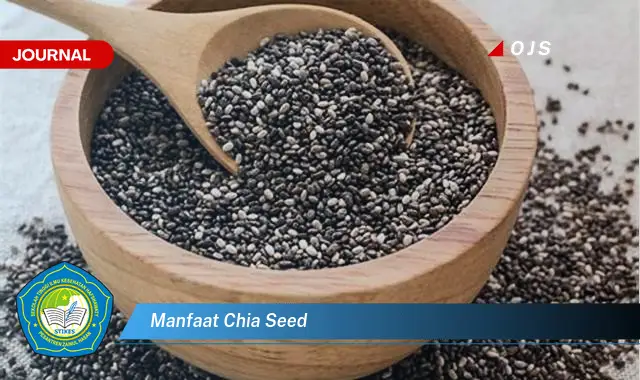 manfaat chia seed