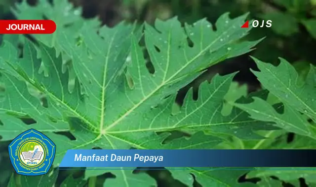 manfaat daun pepaya