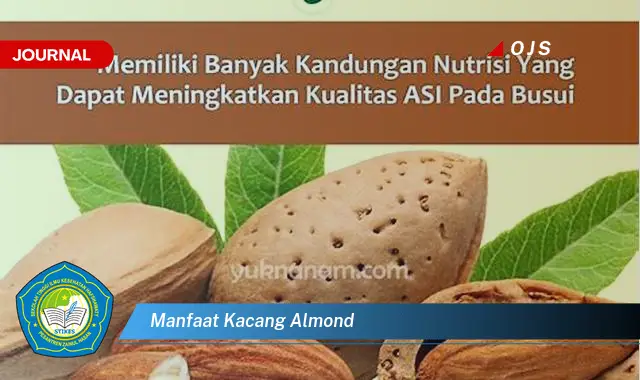 manfaat kacang almond