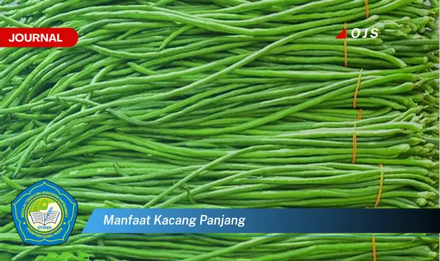 manfaat kacang panjang