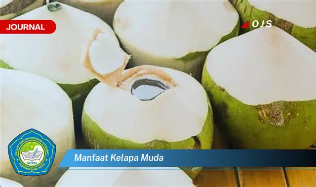 manfaat kelapa muda