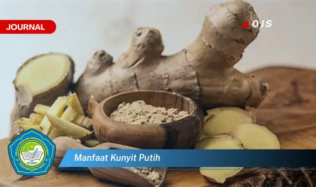 manfaat kunyit putih