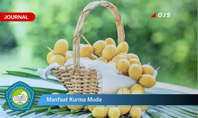 manfaat kurma muda