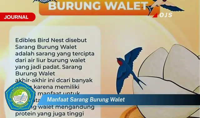 manfaat sarang burung walet