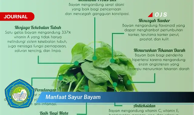 manfaat sayur bayam