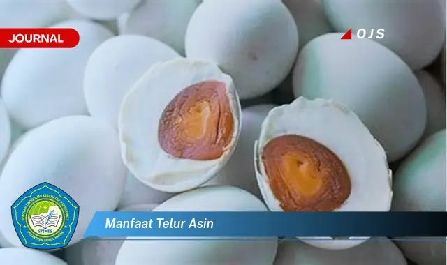 manfaat telur asin