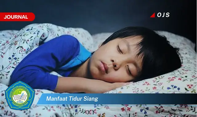 manfaat tidur siang