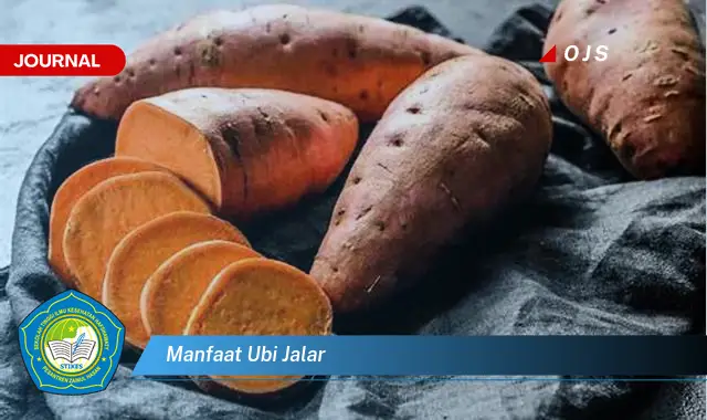 manfaat ubi jalar