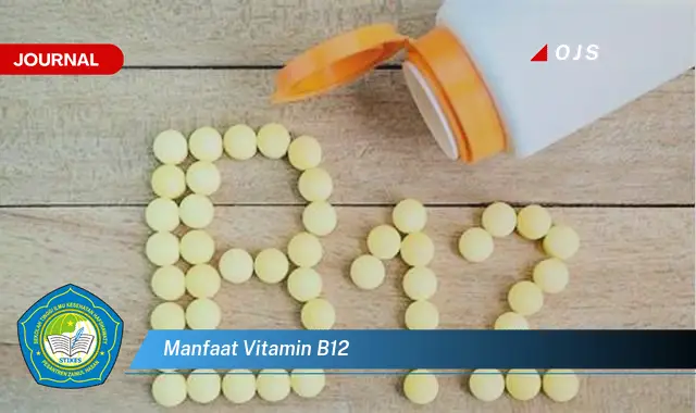 manfaat vitamin b12