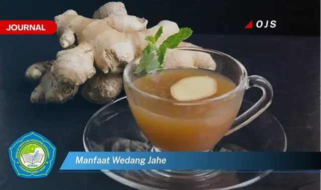 manfaat wedang jahe